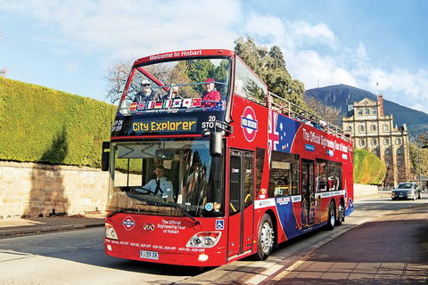 Hobart Hop-On Hop-Off Bus & Kunanyi/Mt Wellington Tour - Darwin Holiday 4
