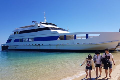 Moreton Island Day Trip (Kayak, Snorkel & Sandboard) Frm Brisbane Or Gold Coast - Darwin Holiday 0