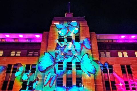 Vivid 90-Minute Sydney Harbour Small Group Catamaran Cruise - Darwin Holiday 0