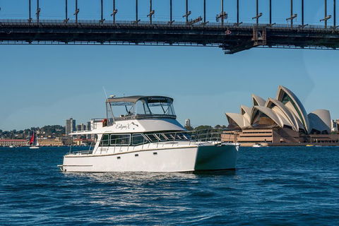 Vivid 90-Minute Sydney Harbour Small Group Catamaran Cruise - Darwin Holiday 2