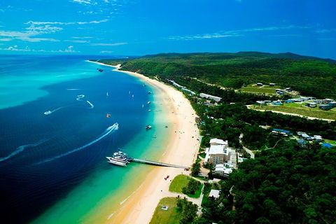 Tangalooma Island Resort Whale Watching Day Cruise - Darwin Holiday 2