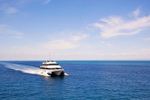 Tangalooma Island Resort Whale Watching Day Cruise - Darwin Holiday 5