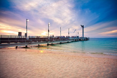 Tangalooma Island Resort Whale Watching Day Cruise With Dolphin Viewing - Darwin Holiday 3