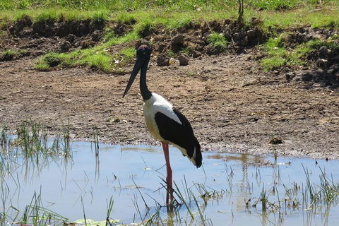 Darwin To Kakadu Day Trip By Air Including Yellow Water Cruise - Darwin Holiday 0