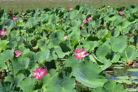 Darwin To Kakadu Day Trip By Air Including Yellow Water Cruise - Darwin Holiday 2