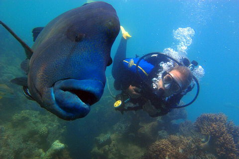 2 Night Whitsunday Islands Cruise On New Horizon From Airlie Beach - Darwin Holiday 4