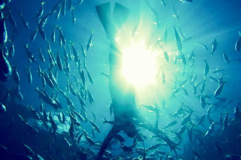 2-Day Whitsundays Sailing Adventure: SV Whitehaven - Darwin Holiday 1