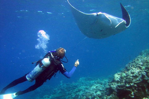 3 Day Whitsundays Sailing And Diving Adventure: Kiana - Darwin Holiday 3