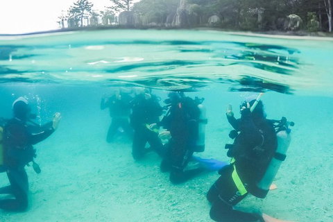 3 Day Whitsundays Sailing And Diving Adventure: Kiana - Darwin Holiday 4