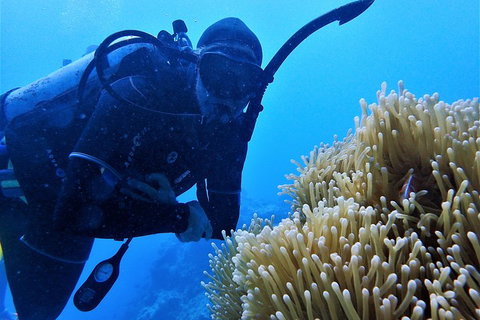 3 Day Whitsundays Sailing And Diving Adventure: Kiana - Darwin Holiday 5