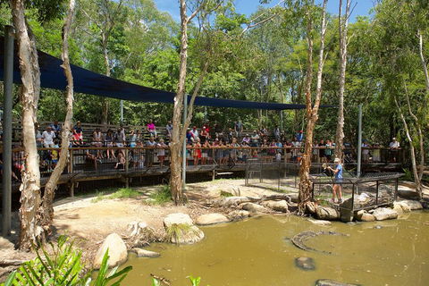 Hartley's Crocodile Adventures Breakfast With The Koalas - Darwin Holiday 1