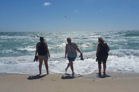 Very Best Of Perth Tour - Wildlife Park & City Highlights Tour - Darwin Holiday 5