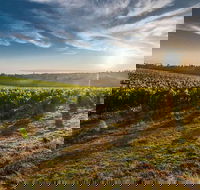 Perth to Margaret River Wine Tour - 2 Day Premium Boutique Wine Tour Experience - Darwin Holiday