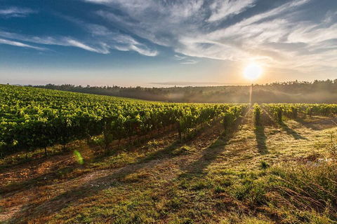 Perth To Margaret River Wine Tour - 2 Day Premium Boutique Wine Tour Experience - Darwin Holiday 0