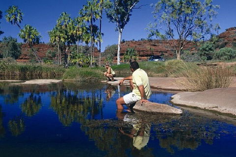 Palm Valley 4WD Day Tour - Darwin Holiday 1