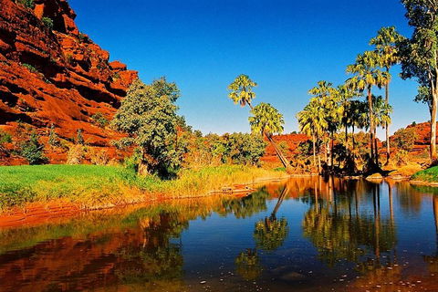 Palm Valley 4WD Day Tour - Darwin Holiday 2