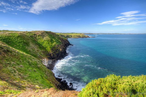Phillip Island Penguin And Koala Highlights Day-Trip From Melbourne - Darwin Holiday 5