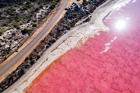 7-Day Exmouth Explorer Via Pinnacles Monkey Mia Ningaloo Reef Returning To Perth - Darwin Holiday 0