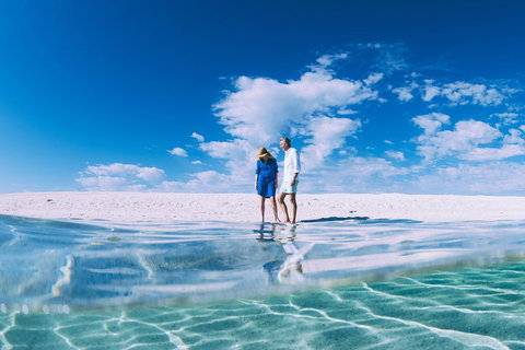 4-Day Coastal Loop Via Monkey Mia Wild Dolphins Kalbarri Pinnacles Perth Return - Darwin Holiday 0