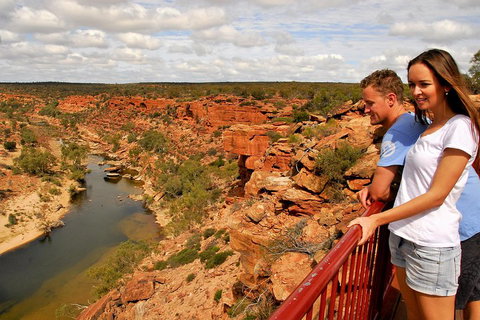 4-Day Coastal Loop Via Monkey Mia Wild Dolphins Kalbarri Pinnacles Perth Return - Darwin Holiday 3