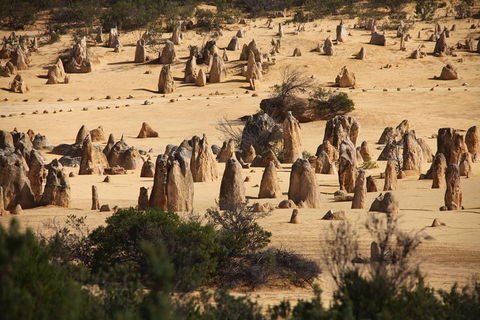 Pinnacles Sunset Dinner And Stargazing Experience A Small Group Tour - Darwin Holiday 0