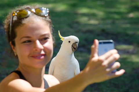 Small-Group Great Ocean Road Experience And Surf Coast Tour - Darwin Holiday 3