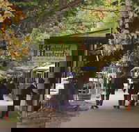 Adelaide Highlights Hahndorf  McLaren Vale Wine Tasting and Sightseeing Tour - Darwin Holiday