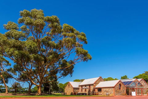 McLaren Vale And Glenelg Wine Tasting And Sightseeing (Half-day Afternoon) - Darwin Holiday 5