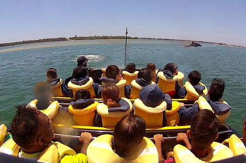 Jet Boat Express Ride - 30mins - Darwin Holiday 5