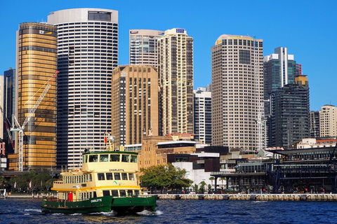 Quay People: Sydney Harbour Walking Tour With Coffee - Darwin Holiday 4
