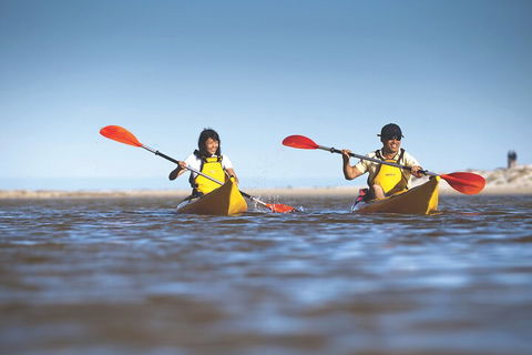 Kangaroo Island Self-Guided Kayaking On The Harriet River - Darwin Holiday 2