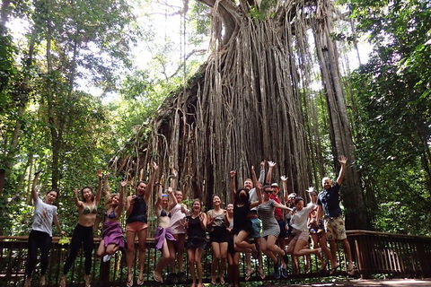 Atherton Tablelands Waterfalls Tour From Cairns - Darwin Holiday 5