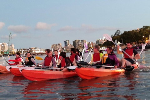 Brisbane River Guided Evening Tour By Kayak - Our Most Popular Tour - Darwin Holiday 0