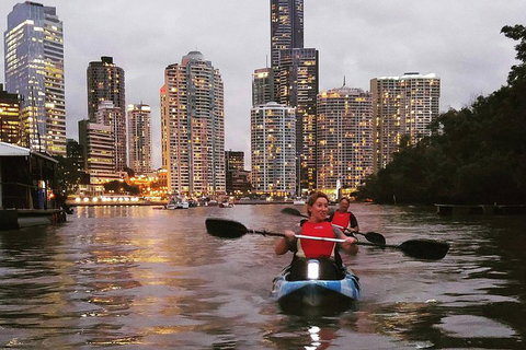Brisbane River Guided Evening Tour By Kayak - Our Most Popular Tour - Darwin Holiday 3