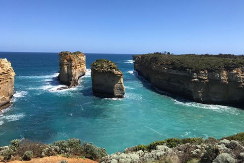 Great Ocean Road Reverse Itinerary PREMIUM Tour - Darwin Holiday 0
