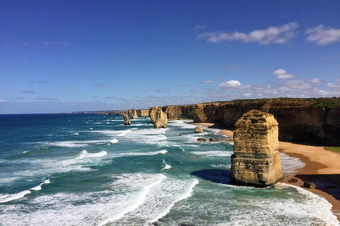 Great Ocean Road Reverse Itinerary PREMIUM Tour - Darwin Holiday 2