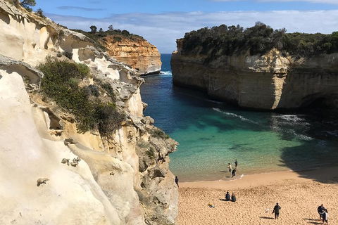 Great Ocean Road Reverse Itinerary PREMIUM Tour - Darwin Holiday 3