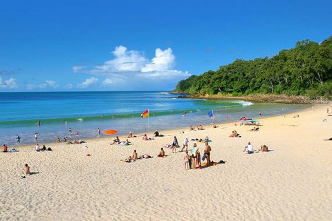 Noosa Everglades Serenity Cruise & Highlights Tour Inc. Lunch & Cruise - Darwin Holiday 4