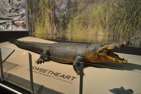 Explore Darwin City Sights Including Key Attractions - Darwin Holiday 2