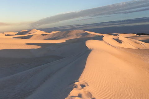Pinnacles Desert Private Tour - Darwin Holiday 1