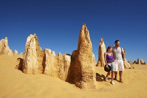 Pinnacles Day Trip From Perth Including Yanchep National Park - Darwin Holiday 0