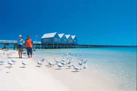 Margaret River And Geographe Bay Region Day Trip From Perth - Darwin Holiday 0