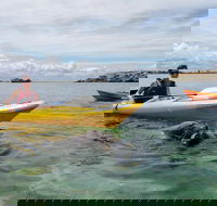 Seal Island and Penguin Island or Point Peron Sea Kayak Tour - Darwin Holiday