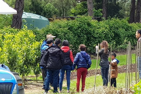 Dandenong Ranges And Rayners Orchard Tour From Melbourne - Darwin Holiday 4