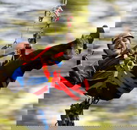 12 Apostles and Otway Fly Zipline Day Trip from Melbourne - Darwin Holiday