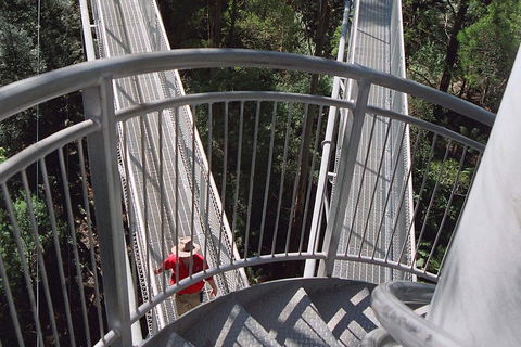 12 Apostles And Otway Fly Zipline Day Trip From Melbourne - Darwin Holiday 2