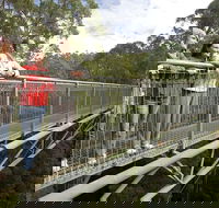 Adventure Sunset Three Day Great Ocean Road Tour - Darwin Holiday