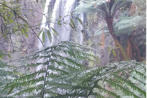 2 Day Great Ocean Road Tour And Platypus Paddle - Darwin Holiday 1