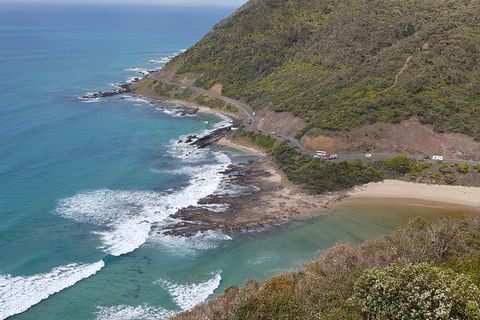 2 Day Great Ocean Road Tour And Platypus Paddle - Darwin Holiday 2
