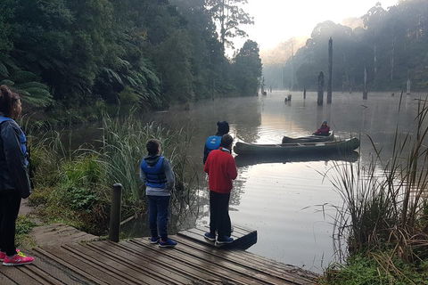 2 Day Great Ocean Road Tour And Platypus Paddle - Darwin Holiday 4